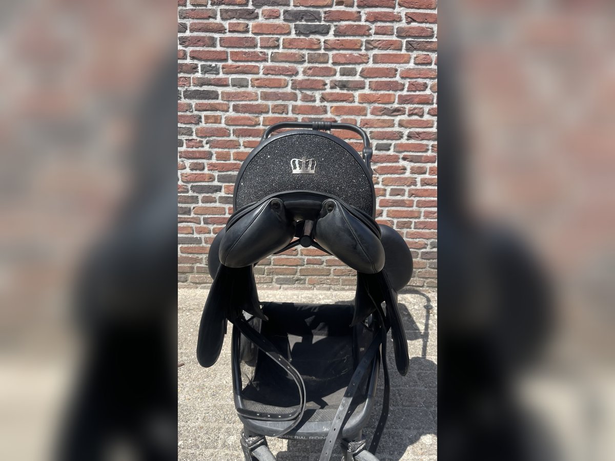 ingsley D5 te koop! ingsley D5 te koop!