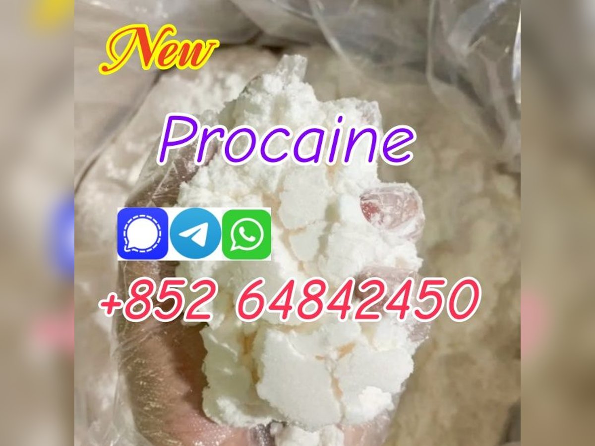 Buy Cas59-46-1 Procaine Base Procaine powder with premium quality 