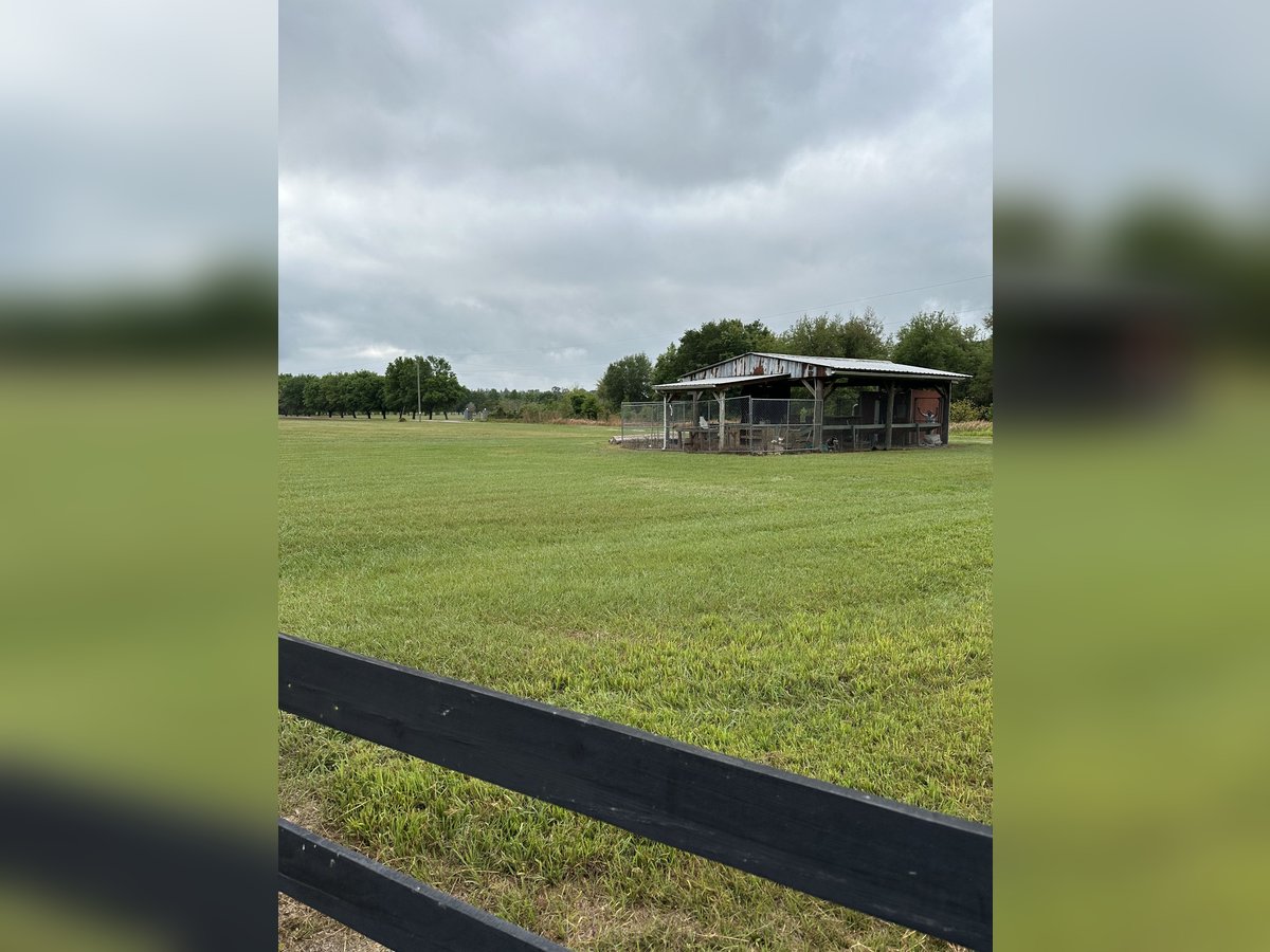 Equine Land for Lease near Tampa, Florida
