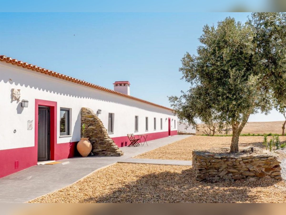 Beautiful Property With Vineyards And Accommodation For Wine Tourism.