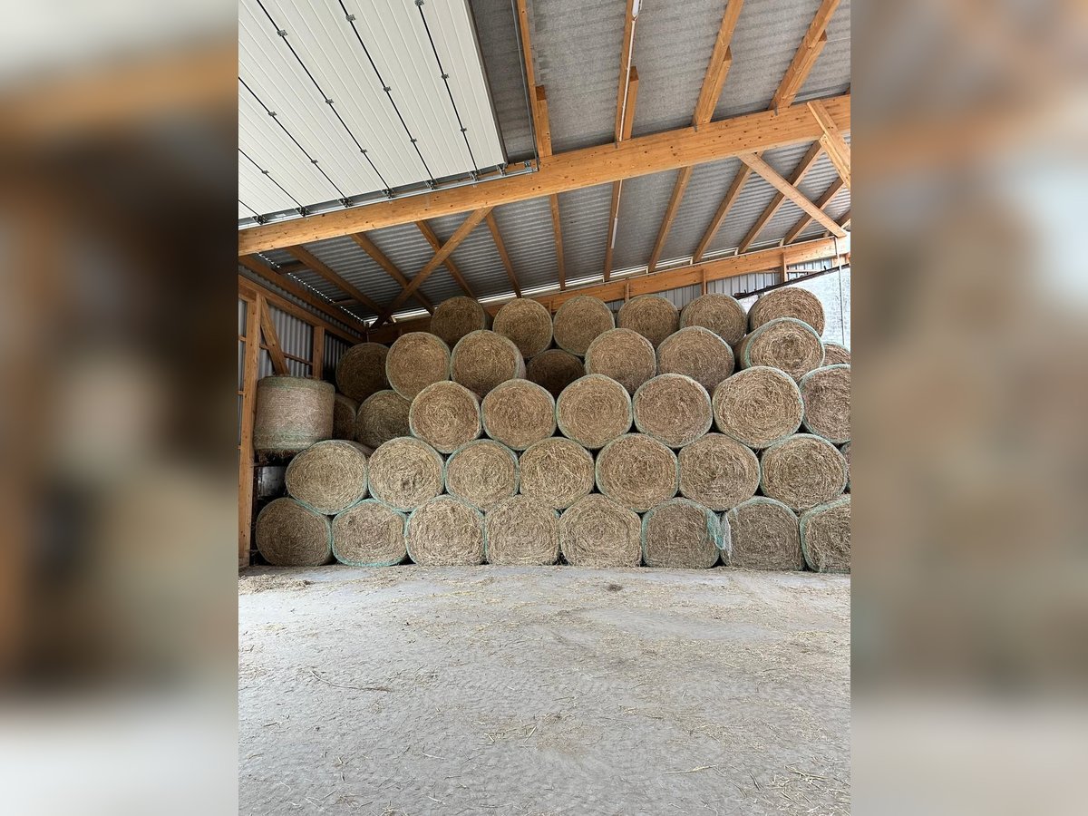 Heurundballen 2025 Heurundballen 2025