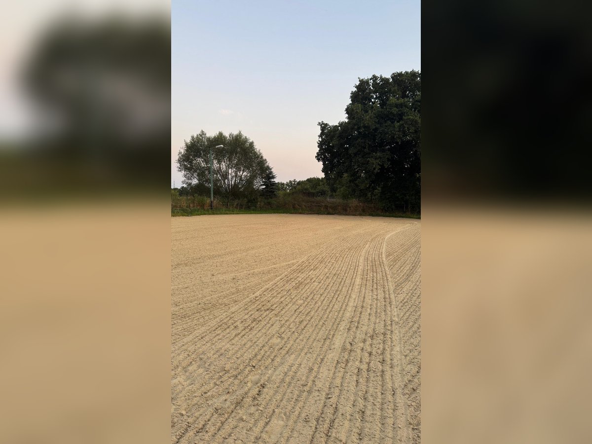 Offenstall in Hünxe/ Drevenack Offenstall in Hünxe/ Drevenack