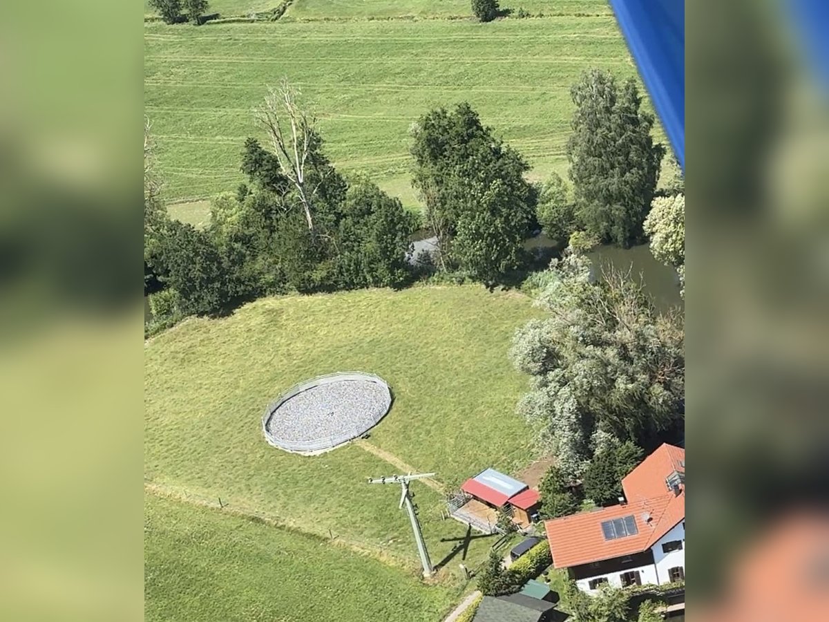 Aufzuchtsplatz für einen Henstjährling ab April/2026 für 2 Jahre