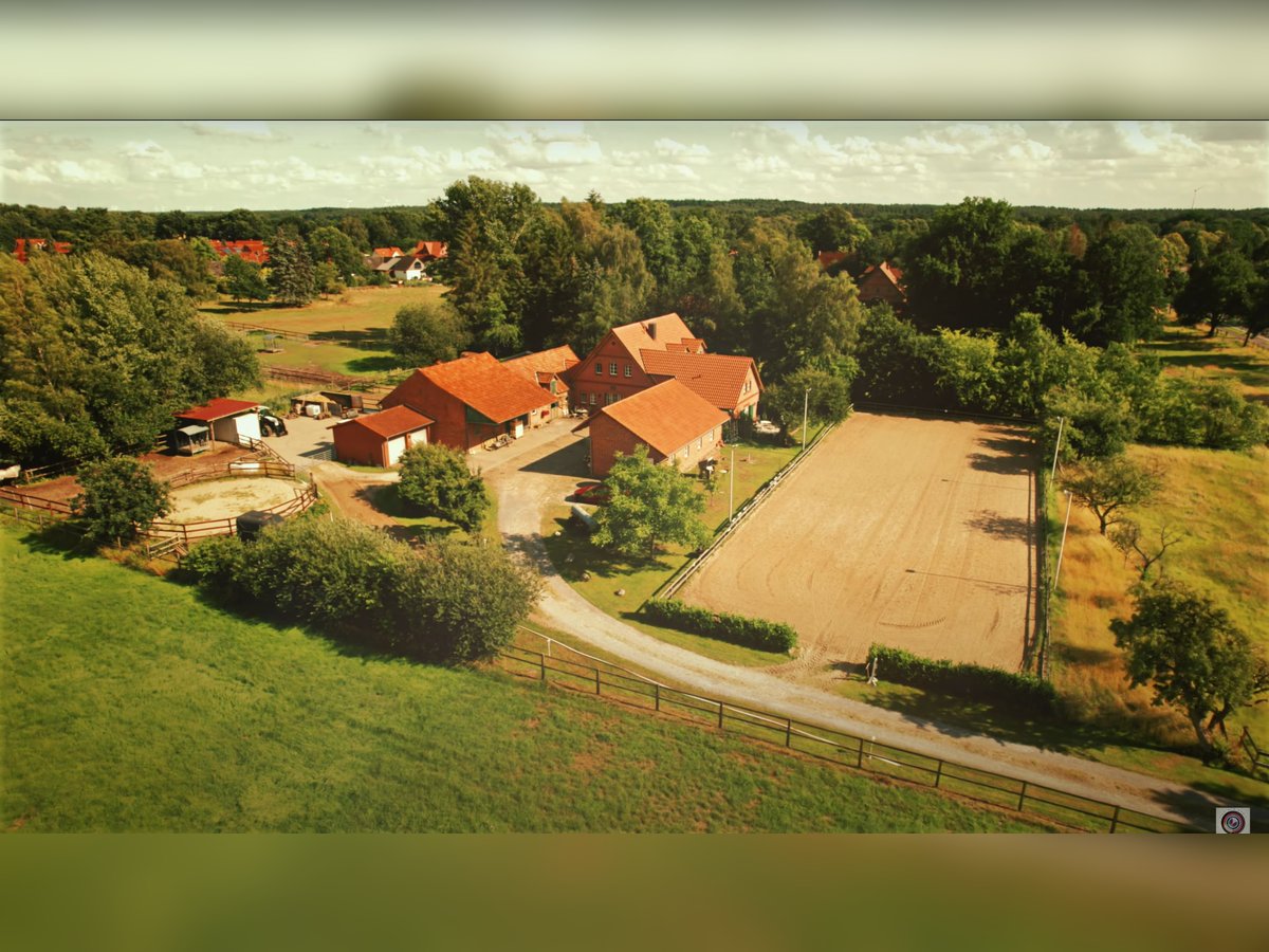 Box in privatem Stall bei Verden, Vollpension