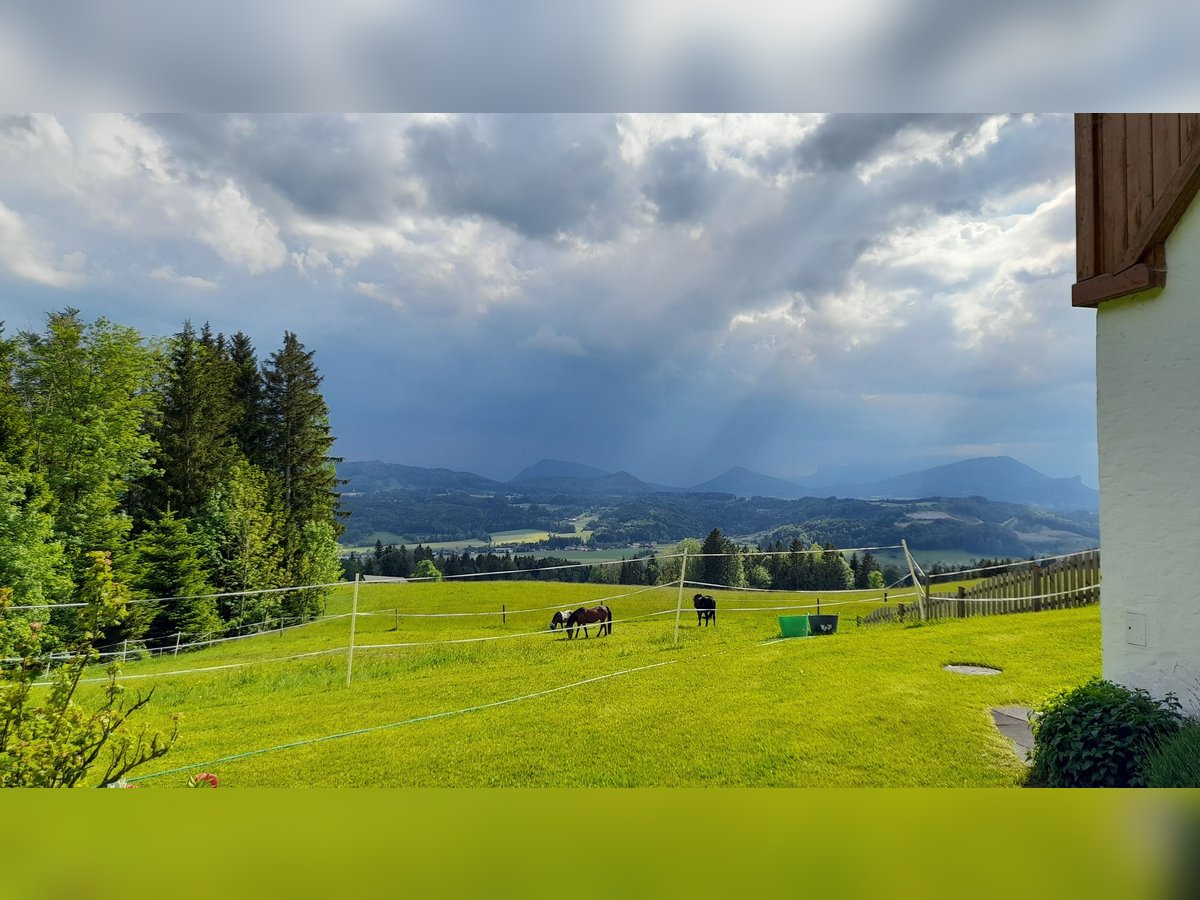 Einstellplatz in wunderschöner Lage