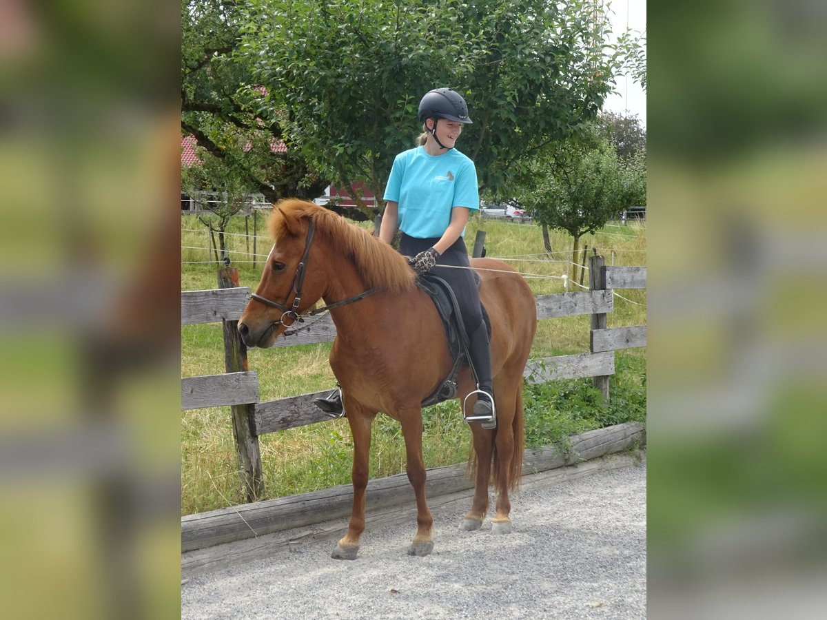 Centered Riding Kurs 4. und 5. Oktober 2025 Centered Riding Kurs 4. und 5. Oktober 2025