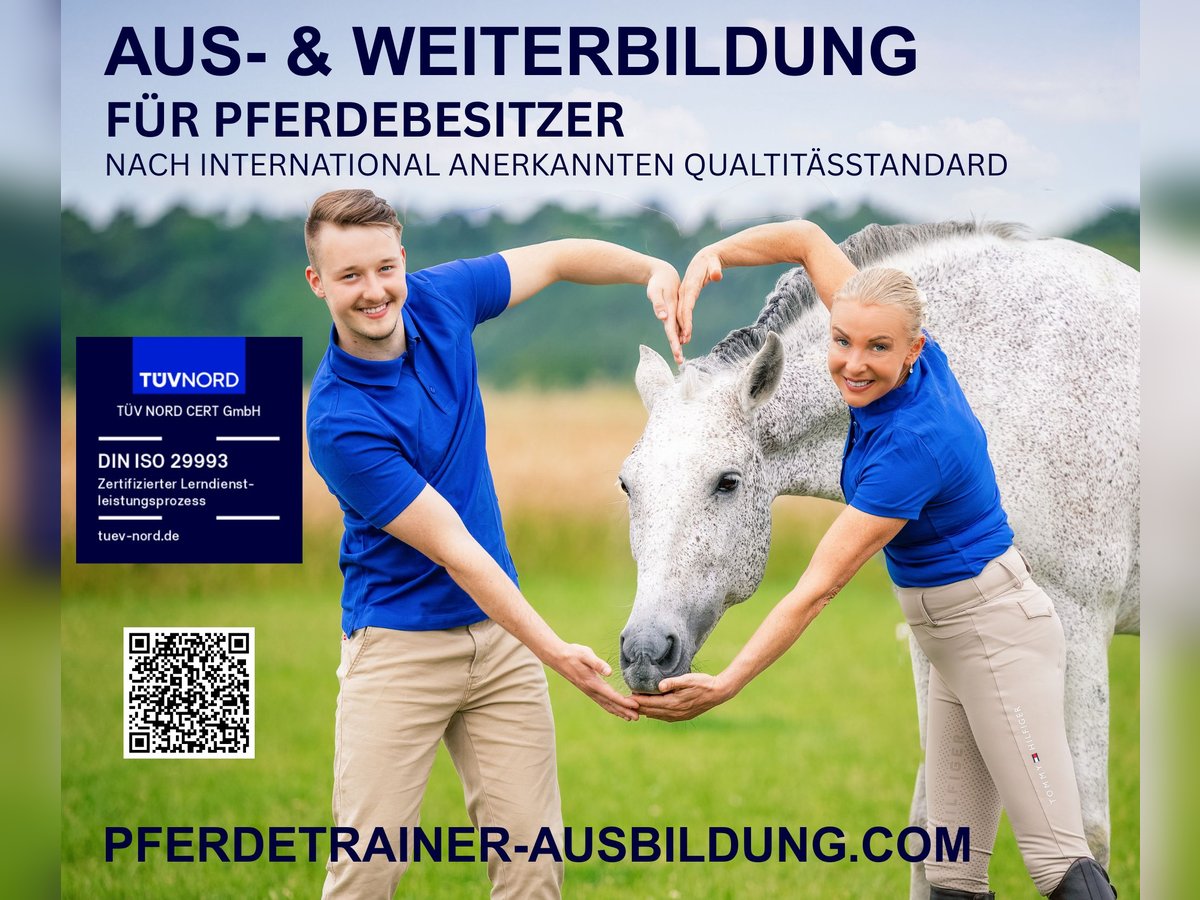 ISO-zertifizierte Pferdetrainerausbildung – Pferdetrainerin werden auf höchsten Niveau