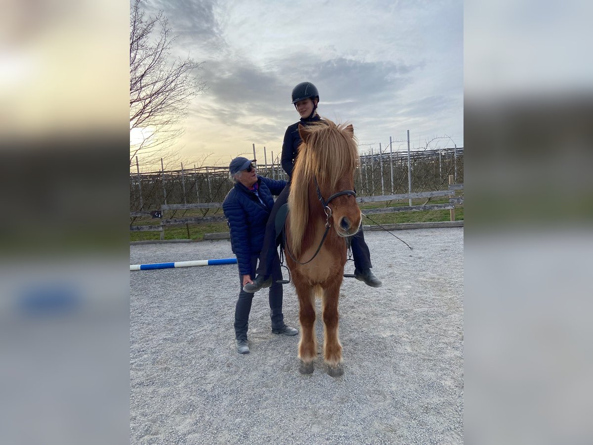 Yoga und Reiten 2. und 3. August Yoga und Reiten 2. und 3. August