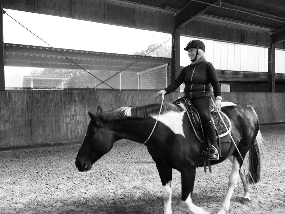 Gesunderhaltung Pferd und Reiter 