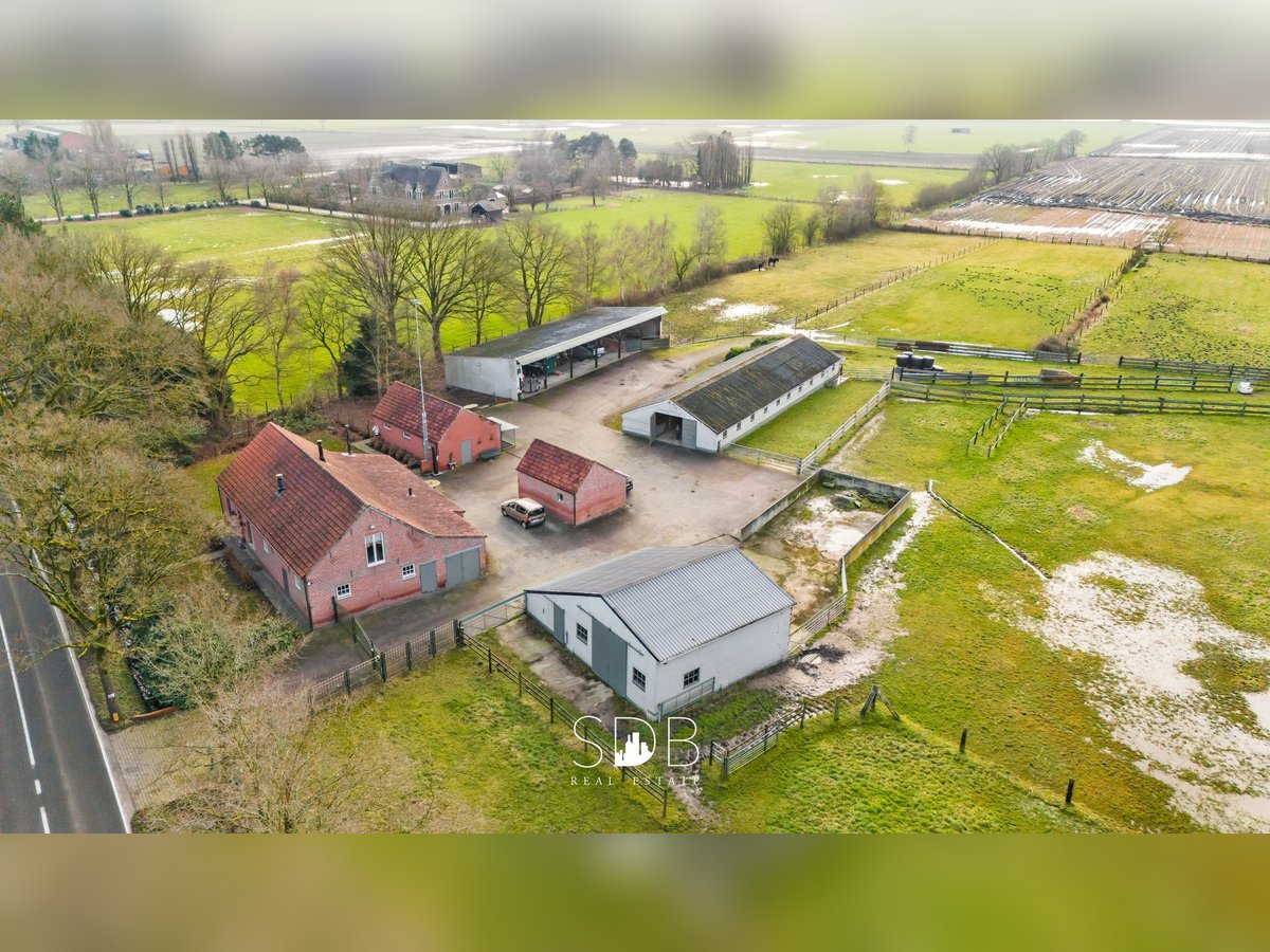 Authentieke hoeve met diverse bijgebouwen en graslanden op 93.155m² - 2300 Turnhout