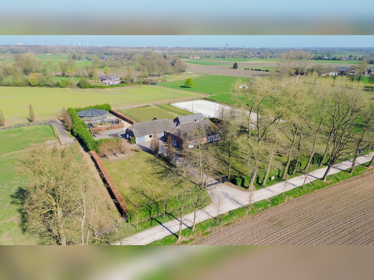 Charming farmhouse with equestrian facilities near ’s-Hertogenbosch