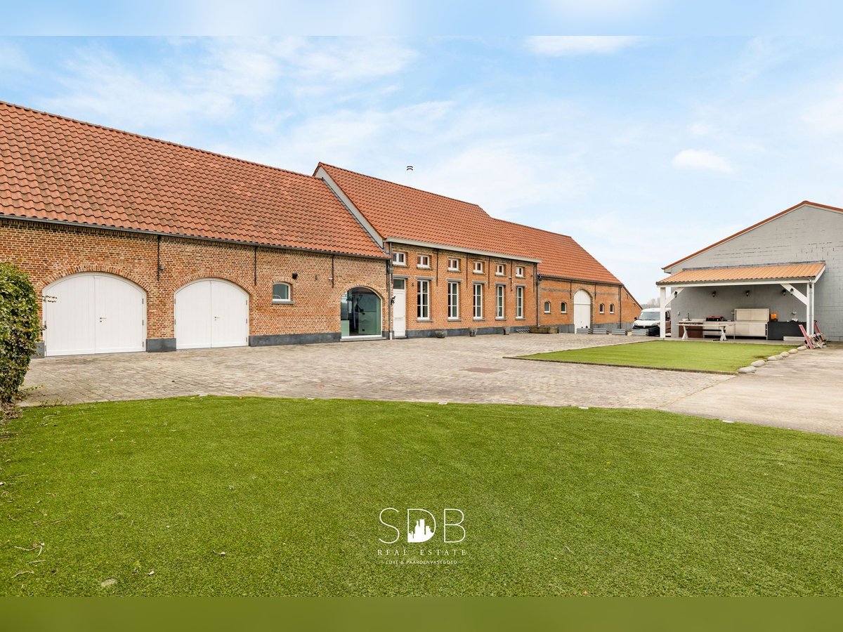 Prachtige villa in hoevestijl met bijgebouwen en graslanden op 89.070m² - 2811 Leest
