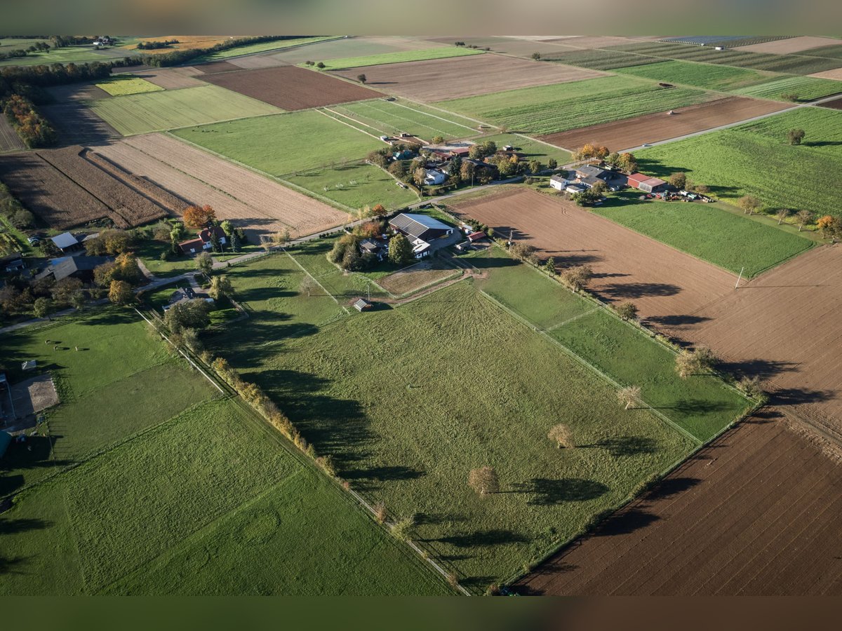 TOP Pferdehof in Auggen / Markgräflerland