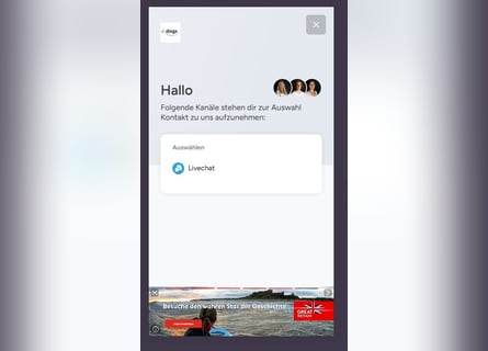 Aegidienberger, Hengst, 3 Jahre, 123 cm, Braunfalbschimmel