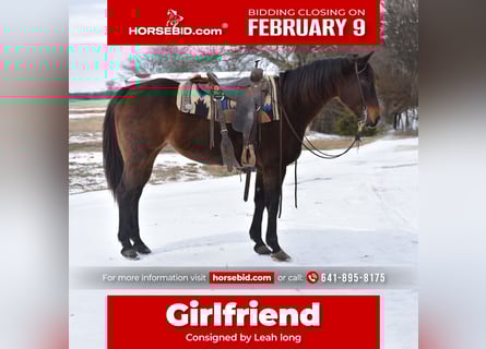 American Quarter Horse, Klacz, 6 lat, 152 cm, Gniada