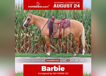 American Quarter Horse, Mare, 10 years, Palomino