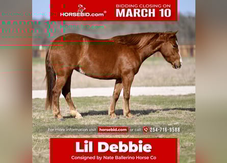 American Quarter Horse, Mare, 3 years, 13,2 hh, Sorrel