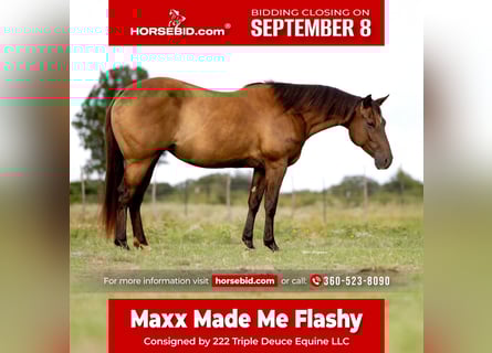 American Quarter Horse, Stute, 6 Jahre, 152 cm, Dunkelfuchs