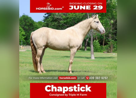 Andaluces, Caballo castrado, 9 años, Champán
