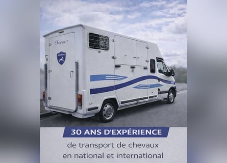 Transport et cours particuliers 95