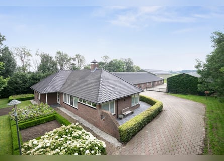 An exceptional equestrian estate with outstanding facilities!