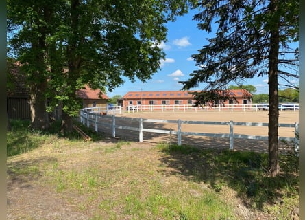 Centre équestre situé dans un cadre idyllique en Ammerland