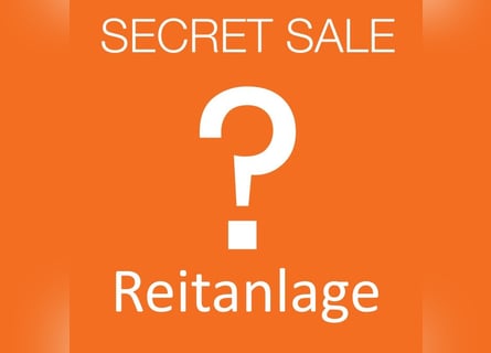  Charmante Reitanlage zwischen Stuttgart und dem Bodensee