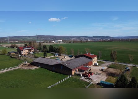 Élevage équestre exclusif avec centre équestre et maison multifamiliale – un parfait mélange de rent