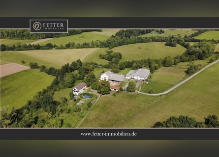 Établissement équestre dans la région de Harz à Bad Sachsa – Grande ferme d’élevage isolée avec manè