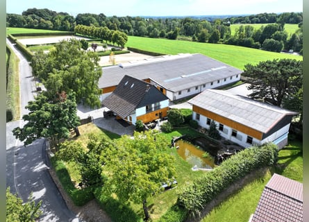 Exklusive Reitanlage im Rhein-Sieg-Kreis