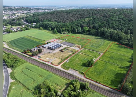 Ferme d'élevage isolée, située dans un cadre paysager pittoresque !
