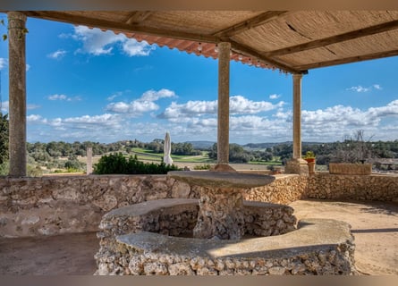 Mallorca: Große Finca auf 4,8 Hektar Land mit Stallungen