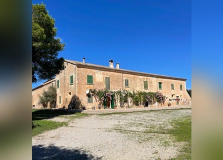 Mallorca: Historisches Landgut zum Sanieren mit 15,6 Hektar Land zur Pferdehaltung