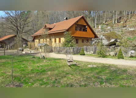 Privates Anwesen, ruhig im Grünen in Alleinlage gelegen, ideal für Pferde- und Naturfreunde