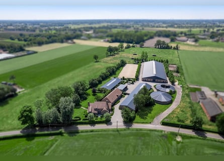 Professioneel hippisch eigendom met luxe villa op ca. 3,5 Ha