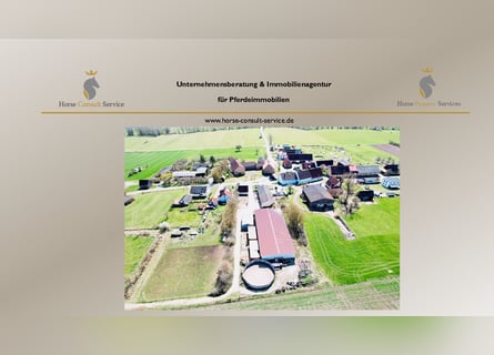 Propriété équestre avec une grande maison d'habitation et un potentiel de développement