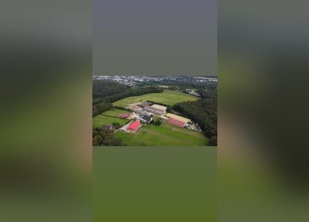 Reitbetrieb Reitanlage mit Mehrfamilienhaus