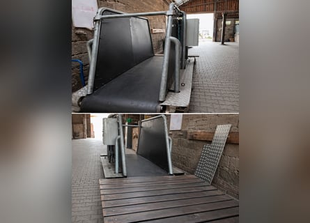 Tapis de marche pour chevaux