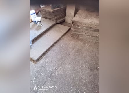 Tapis de box en granulat de caoutchouc