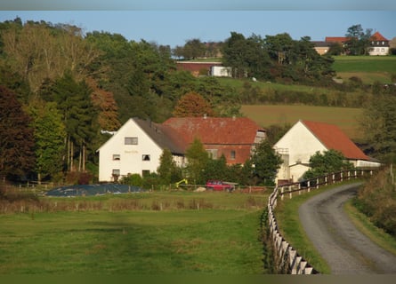 Bieten 2 freie Boxen an