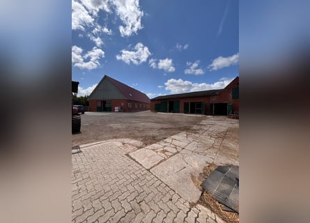 Box available – Full board – Riding facility – Boarding stable