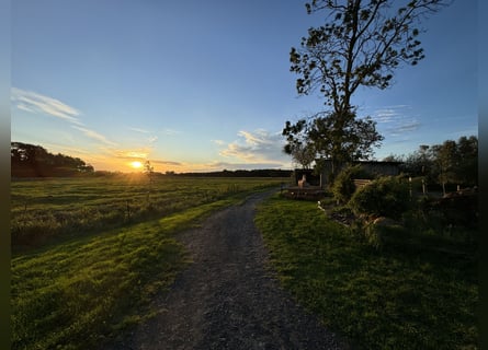 Place de rééducation situé directement en bord de mer du Nord