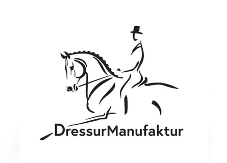 Mobiler Reitunterricht 