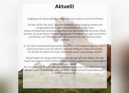 Centered Riding Ausbilderkurs mit Angelika Engberg + Pferdeführerschein/Longierabzeichen