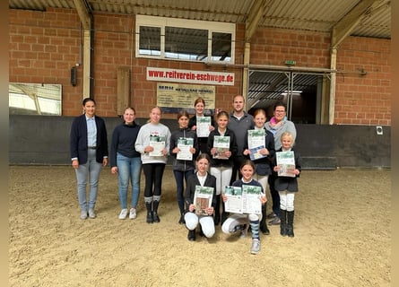 Reitabzeichen Lehrgang vom 29.09-01.10 und 06.10-08.10