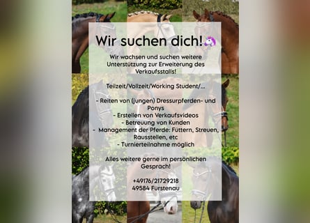 Bereiter/Pfleger (m/w/d) gesucht! Teilzeit, Vollzeit, Praktikum…