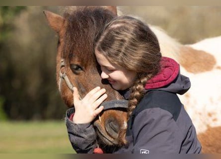 Reitlehrer*in   für Thüringen Jena gesucht