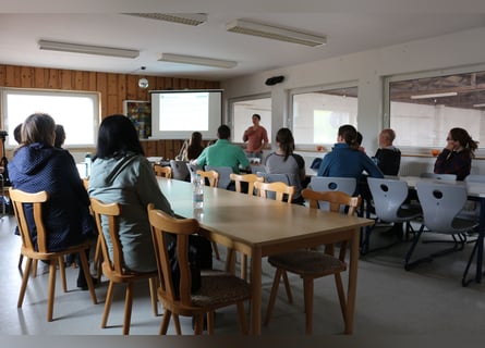 Pferdepfleger FN - Qualifikation mit Prüfung für Quereinsteiger 06. bis 20.11.2026