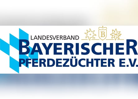 Reiter (m/w/d) gesucht für die vielseitige Ausbildung und Förderung junger Pferde 