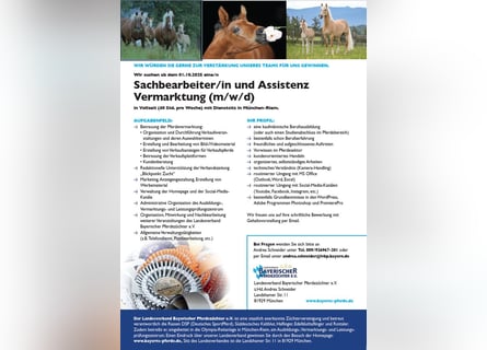 Sachbearbeiter/in und Assistenz Vermarktung